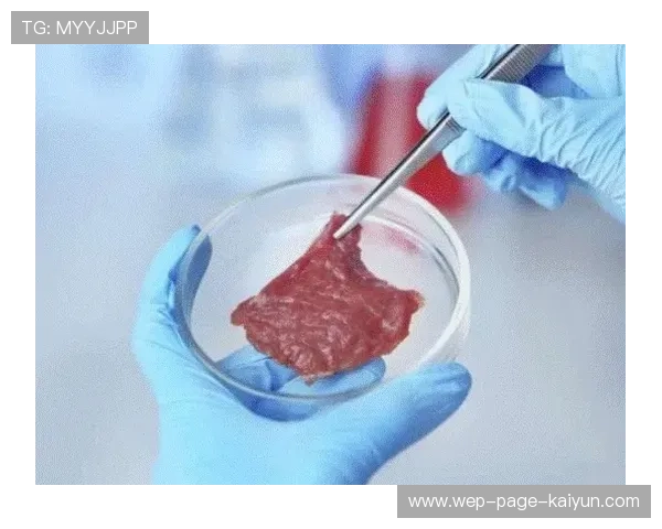 球队在季前训练中注重身体素质的科学提升